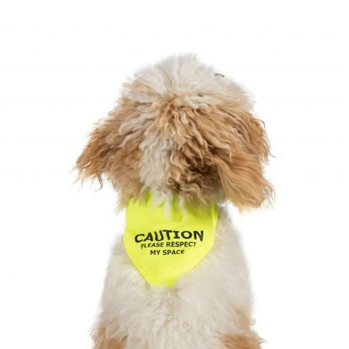 Ancol Hi Vis 'Respect my Space' Bandana